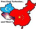East Turkestan.jpg