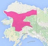 RED FLAG-Alaska2.jpg